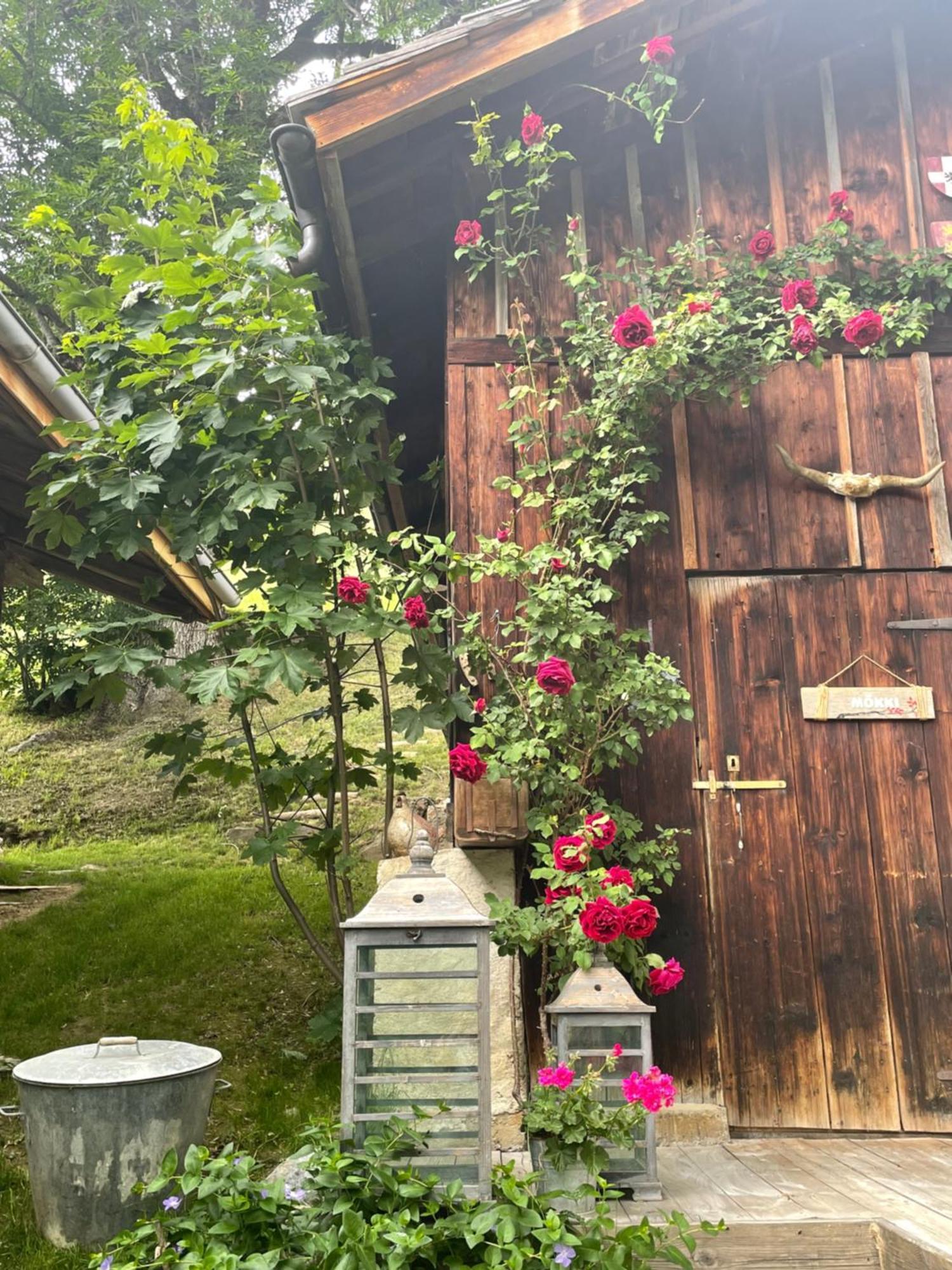 오틀루스 Le Pika B&B 외부 사진